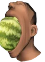 scoutMelon scoutMelon