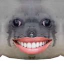 SealGrin