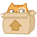 cat_in_the_box