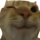 cat_wink cat_wink