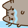 sadcatto