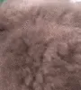 Rocketmonke