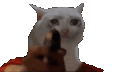 bangkitty