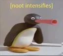 Noot