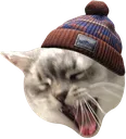 1_ScavCat