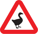 goose_warning