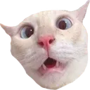 dumbgield dumbgield