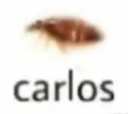 carlos carlos