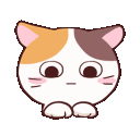 kiteyes