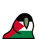 palestineparrot