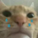 sadbrung Discord Emoji