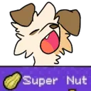 SUPER_NUT