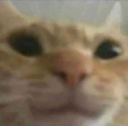 die Discord emoji