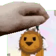 PETTHEKOA