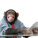monkeysmile monkeysmile
