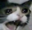 sad
