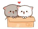 lboxcuddle