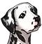 animal1