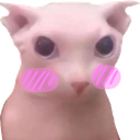 SCbingusflushed Discord emoji