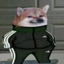wtf_2