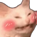 hehehecat Discord Emoji