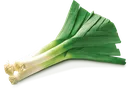 leekhaha
