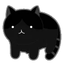 spin_kat_black