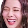 jisoolaugh Discord emoji