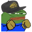 KCPeepoFighter