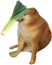 xLeekBONK