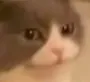 __