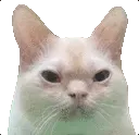 mousevanish