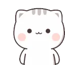 CutieCatChan_Wink