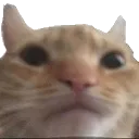 mochysad Discord Emoji