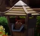 chu