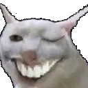 weshwink