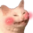 catuwu catuwu