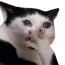 MA36_codm_catomg Discord emoji