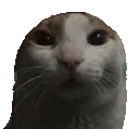 petca