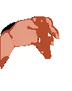 fidgetsuasage