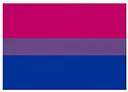 bisexualflag
