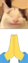 shooprayer