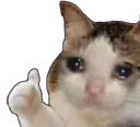 thumbsup_cat