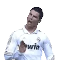roncalma roncalma
