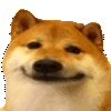 shibexcited Discord emoji
