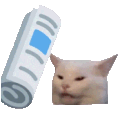 kittynewspaper Discord Emoji