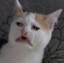 glow_Cat_Eh Discord emoji
