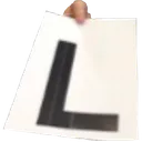 L_