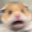glow_HamsterAhhh Discord emoji