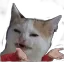 yehdeko